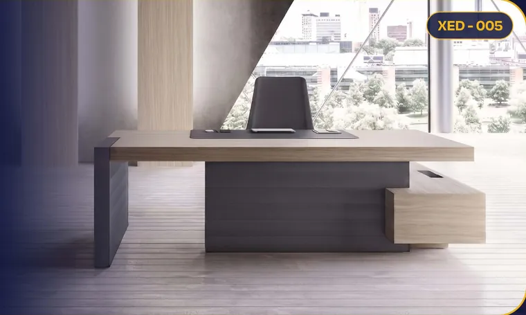 XED - 005 – Executive Offices