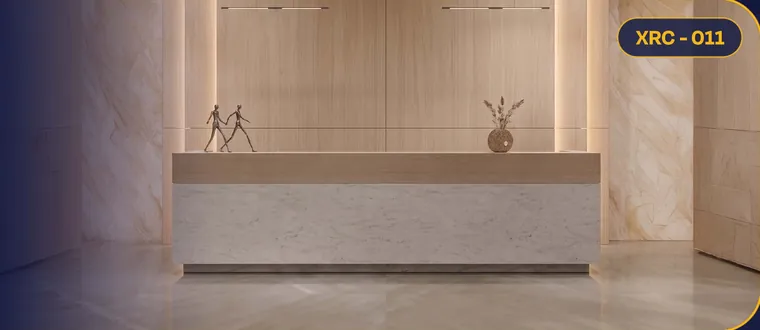 XRC - 011 – Reception Counters